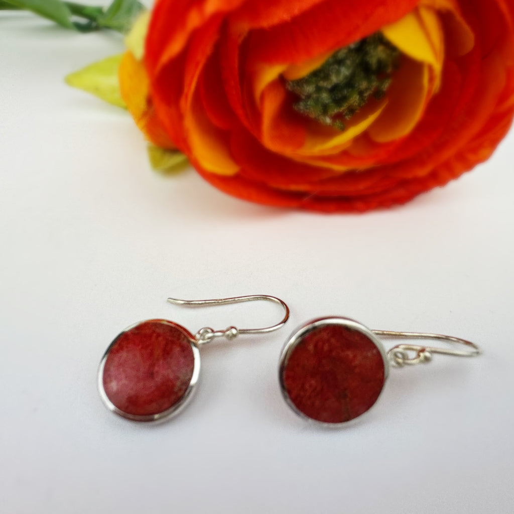 Sunset Glow Earrings - VE390
