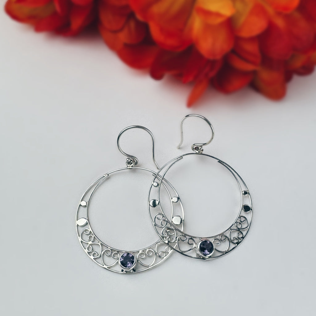 Cirque Earrings  - VE673AM