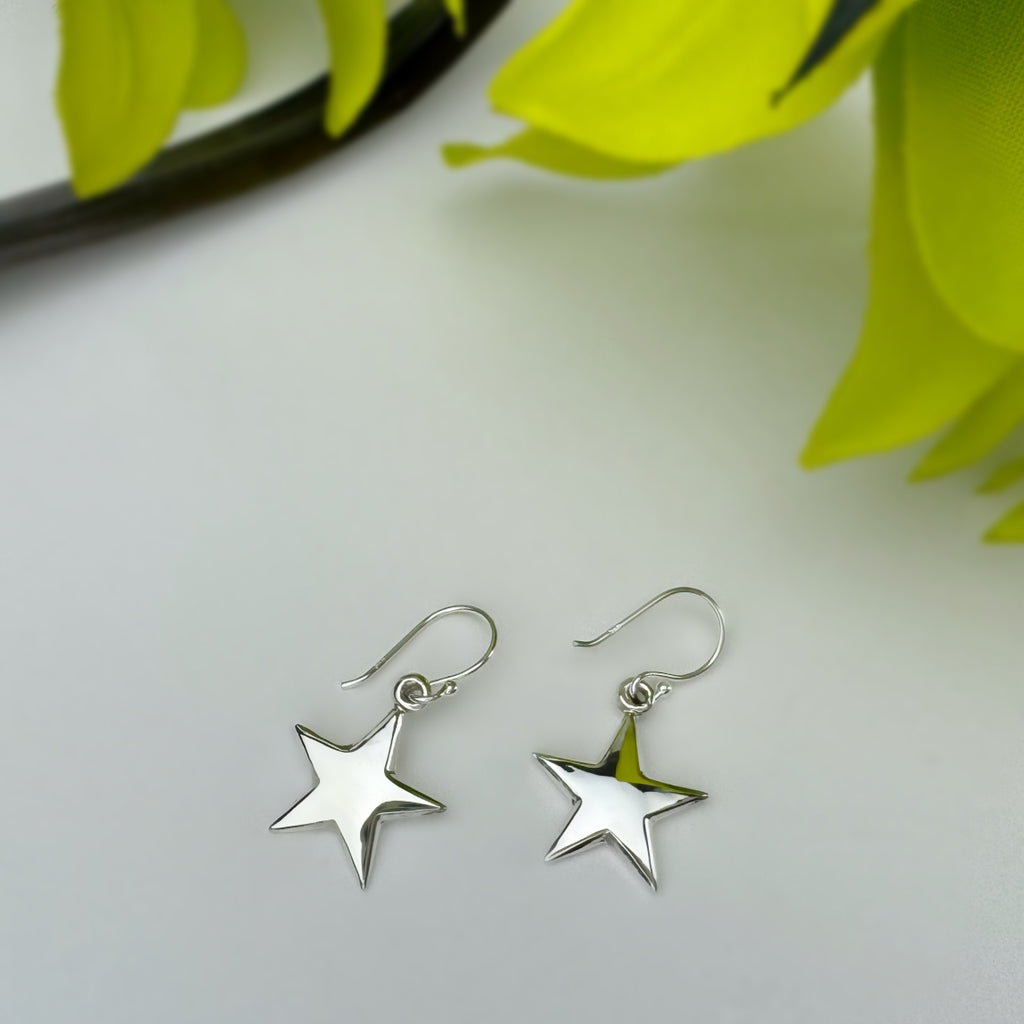 Bright Star Earrings - VE511