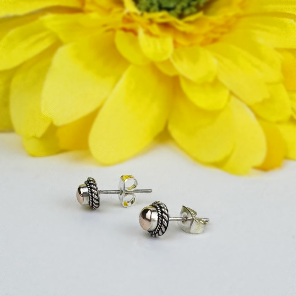 Trupti Earrings - VE244