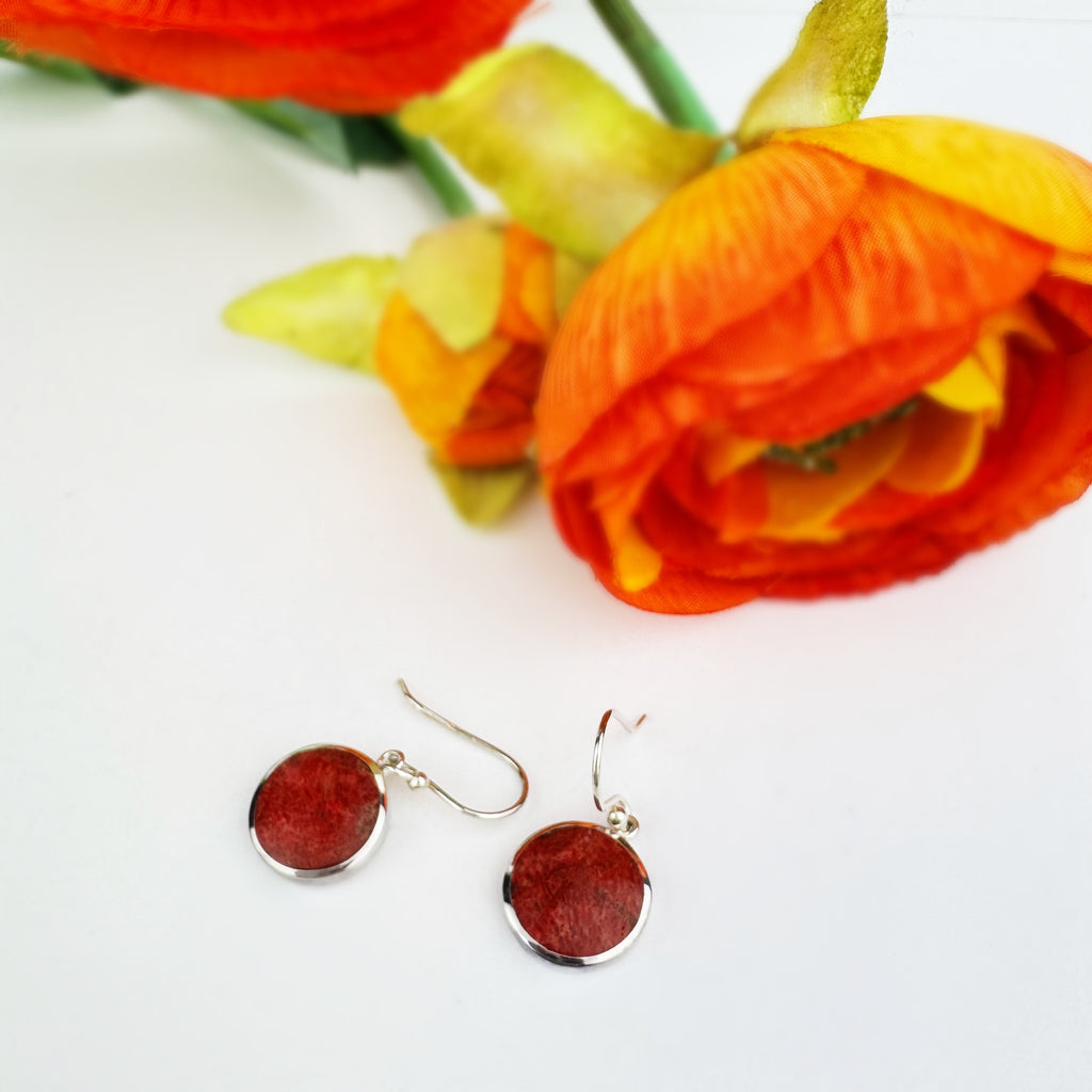 Sunset Glow Earrings - VE390