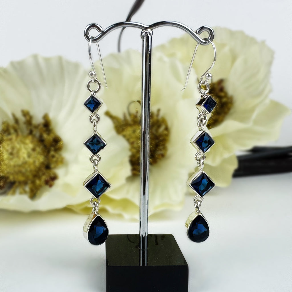 Blue Belle Earrings - VE213ST