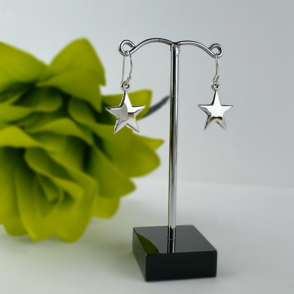 Bright Star Earrings - VE511