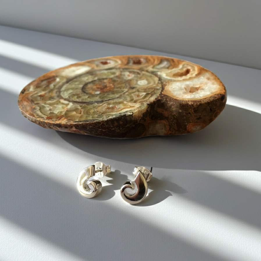 Ammonite Stud Earrings - SE100