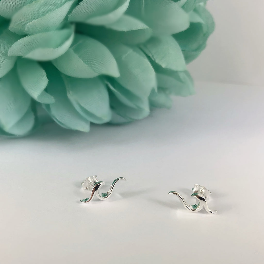 Silver Swell Earrings - VE504