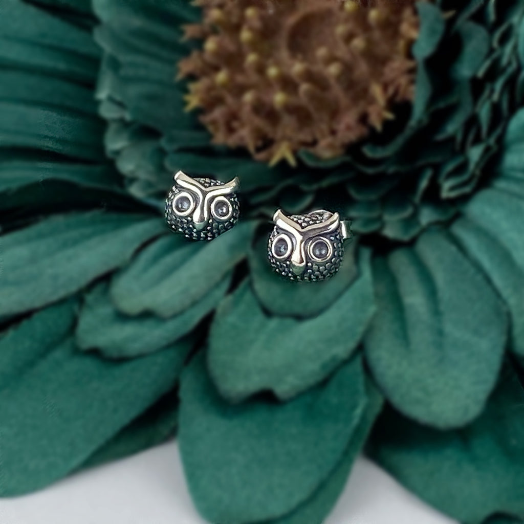 Night Owl Stud Earrings - VE262