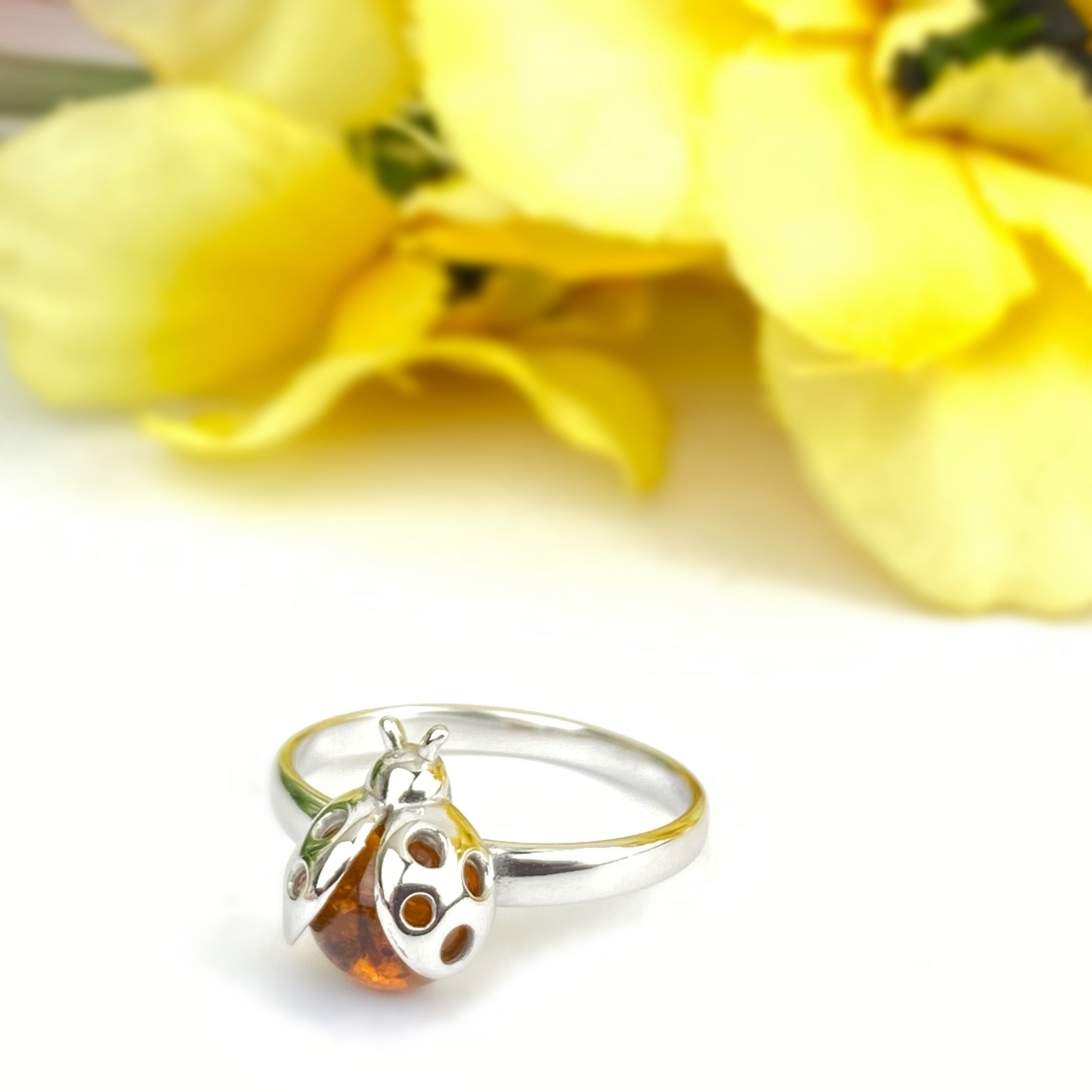 Ladybird ring clearance