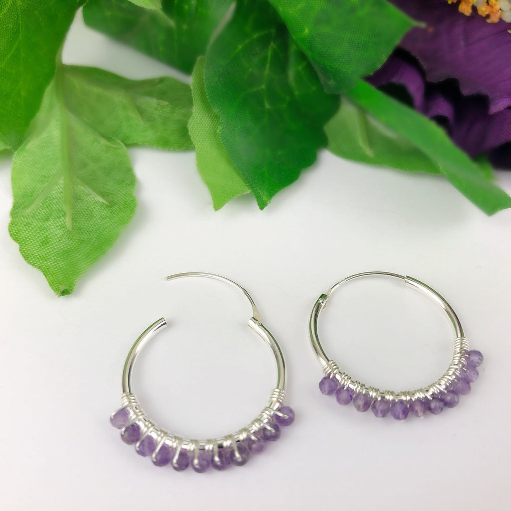 Pansy Purple Hoops - VE4737