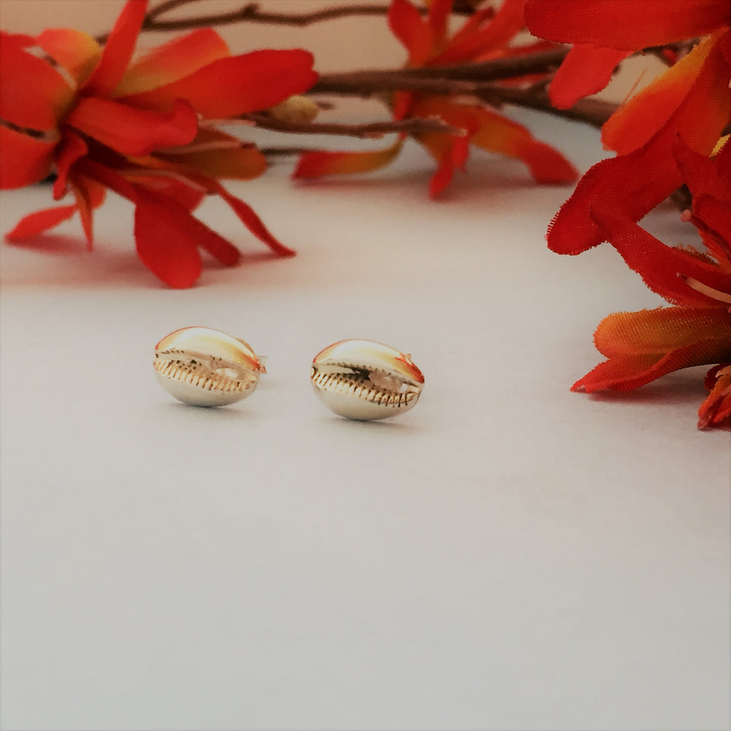 Silver Cowrie Shell Stud Earrings - VE4288